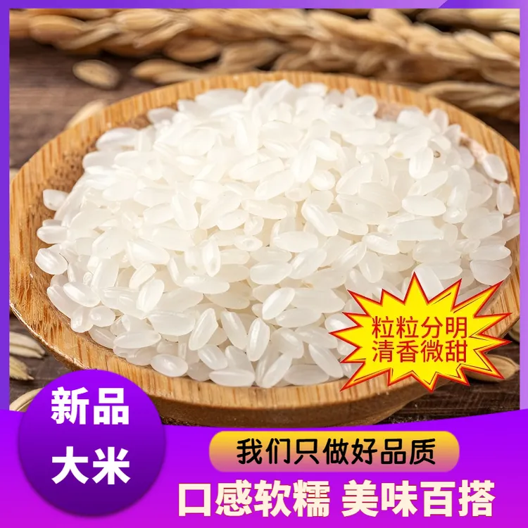 精选大米米粒晶莹商用快餐店专用家庭日常煮粥用米圆粒米珍珠米
