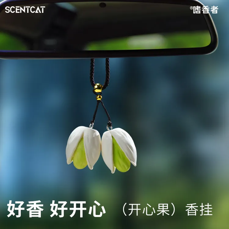 嗜香者开心果车载香薰汽车挂件香片车用挂饰车内持久留香2025新款