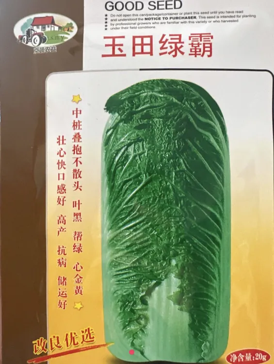 玉田绿霸改良优选白菜种子，高产抗病耐储存