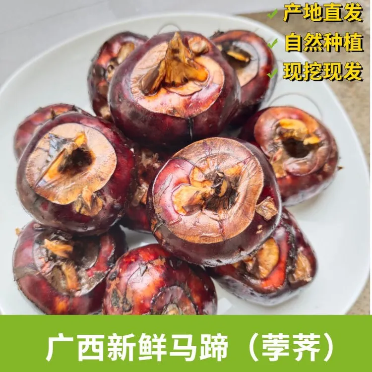 广西桂林马蹄荔浦水果马蹄荸荠新鲜广西特产水果农家蔬菜脆嫩