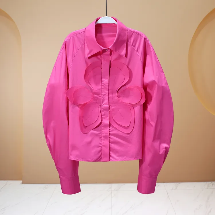 【LIANG哥女装】2025欧洲站《去时梅萼初凝粉》小众弯刀袖衬衫5915A