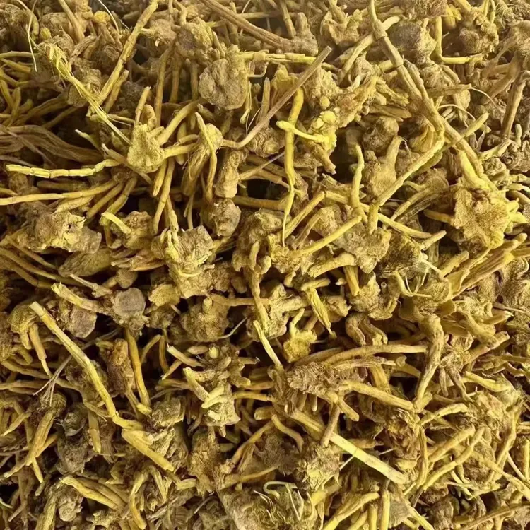 金秋亿草 雪山黄龙草