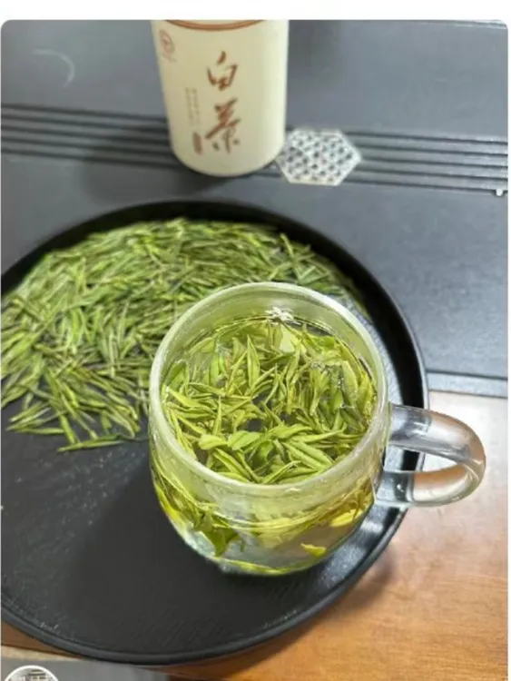 安吉白茶高山绿茶蜜香兰花香型春茶茶叶原产地