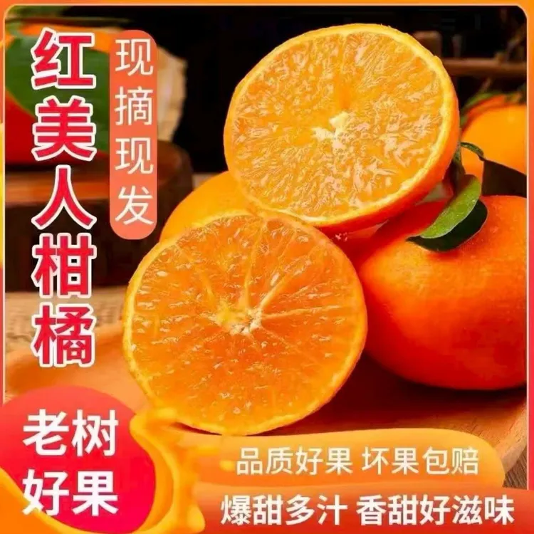 【正宗】红美人柑橘果冻橙新鲜水果现摘清甜爆汁细腻化渣产地直发