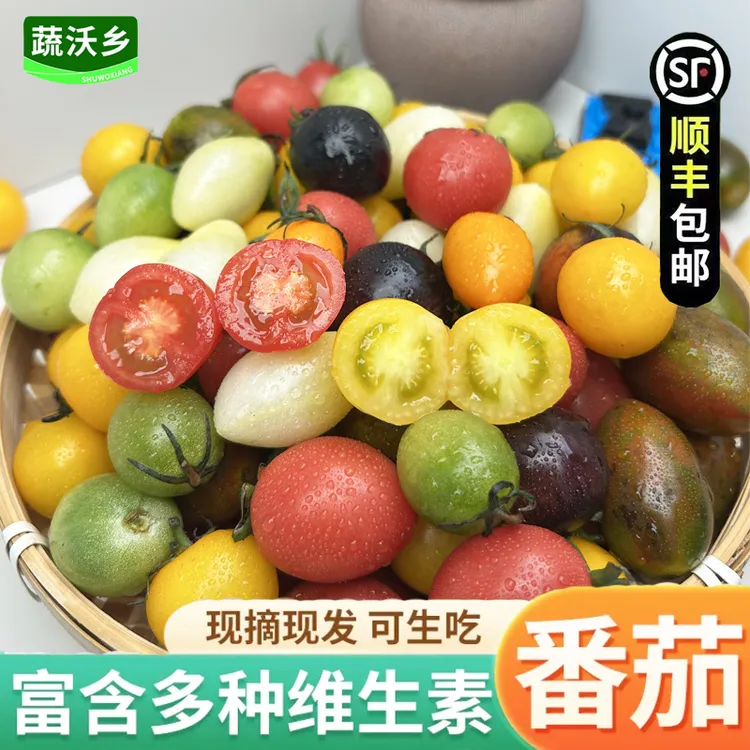 【顺丰】多彩小番茄圣女果多色混装酸甜多汁新鲜采摘千禧西红柿包邮