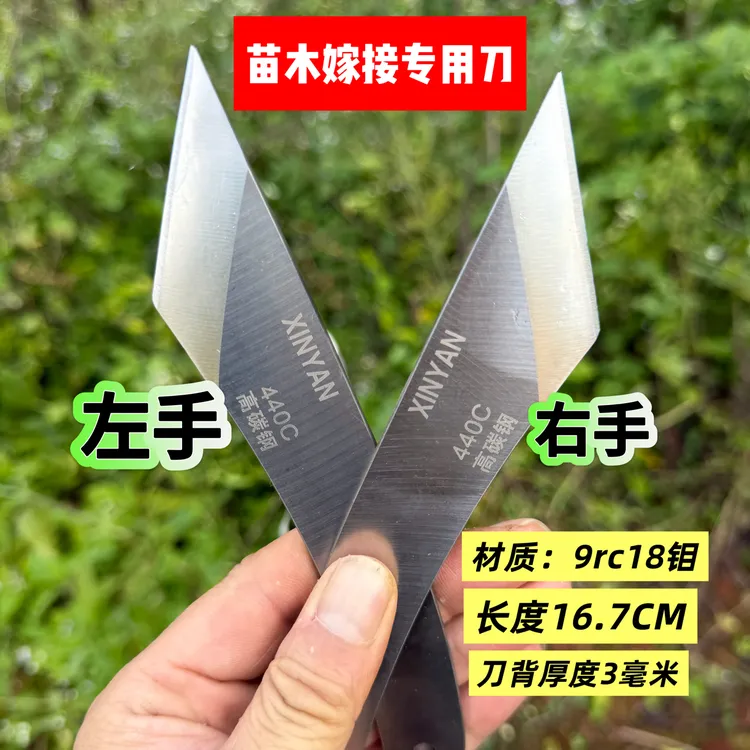 高硬度嫁接刀果树盆景花卉金弹子嫁接专用刀