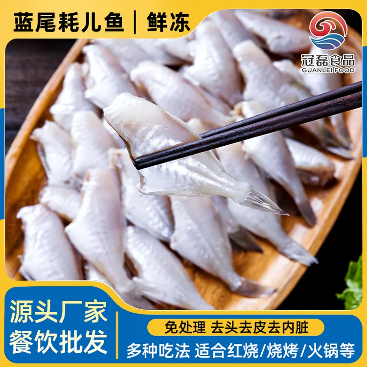 【小号】新鲜马面鱼耗儿鱼去皮去头无冰无水火锅干锅食材顺丰冷链
