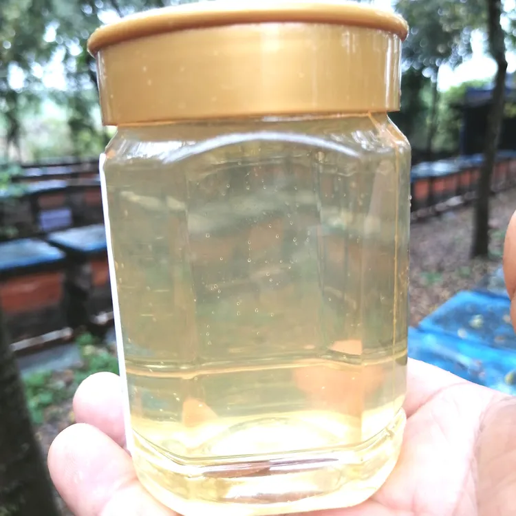 到手2斤蜂农自产自销 深山洋槐花蜂蜜