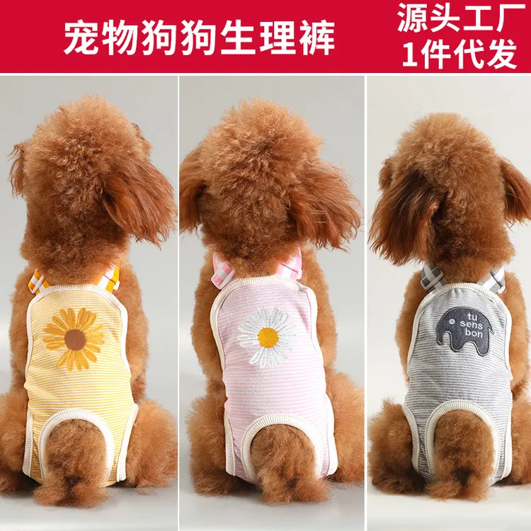 宠物纸尿裤狗狗生理裤泰迪裤尿垫泰迪月经裤宠物姨妈
