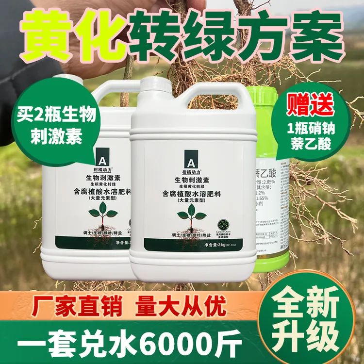 柑橘动力黄化转绿方案生根促长复壮移栽缓苗预防根腐解决黄化树商品图