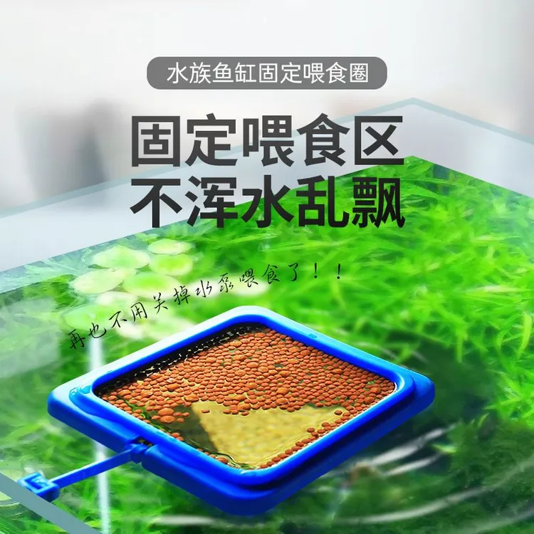 鱼缸喂食器水族箱鱼食投食器喂食圈小型鱼热带孔雀饲料浮力投喂器