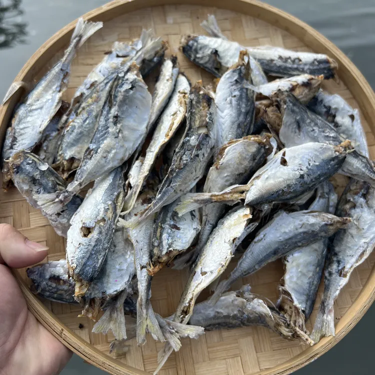 汕尾特产新鲜渔民自晒去头巴浪鱼干马宫渔家自晒巴浪脯