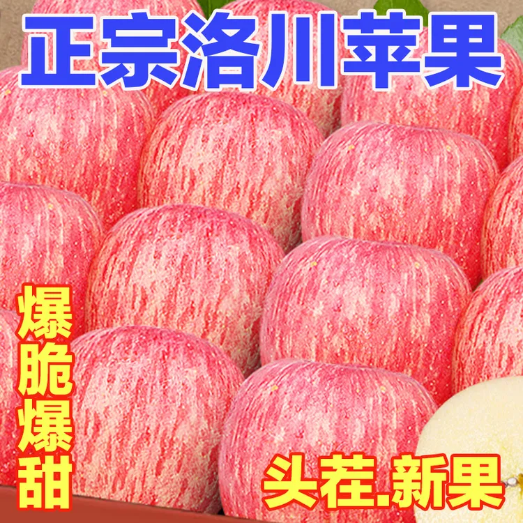 【早摘午发】洛川苹果高山红富士陕西当季新鲜水果一级拉丝脆甜多汁
