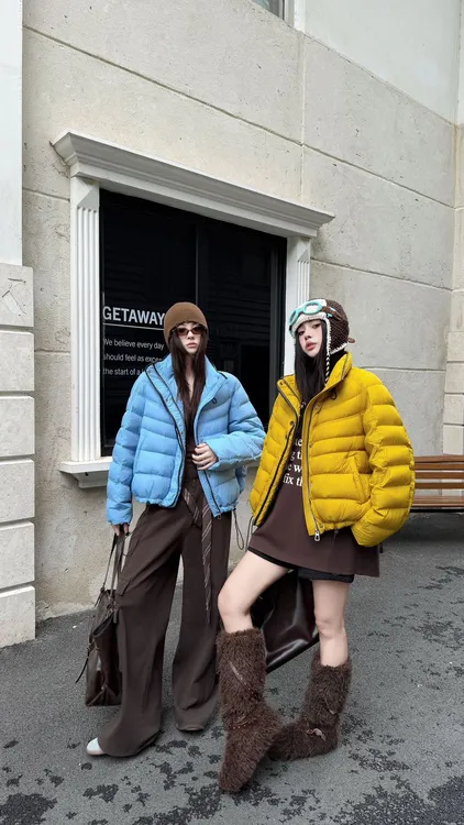 2025新款90白鸭绒羽绒服女欧货立领设计感短款时尚气质休闲外套潮