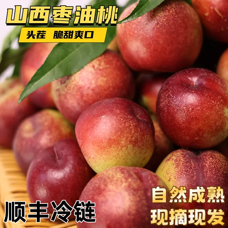【当季水果】山西运城珍珠枣油桃新鲜水果现摘现发正宗枣油桃口感好