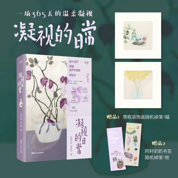 凝视的日常艺术家生活日记阿籽奶奶画画艺术笔记画册畅销文艺大众