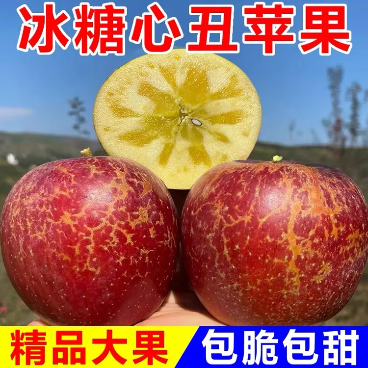 云南昭通2025新鲜红露冰糖心苹果现摘5到9斤包邮当季整箱脆甜