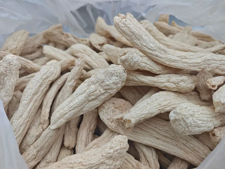 贵州美味冬荪干品