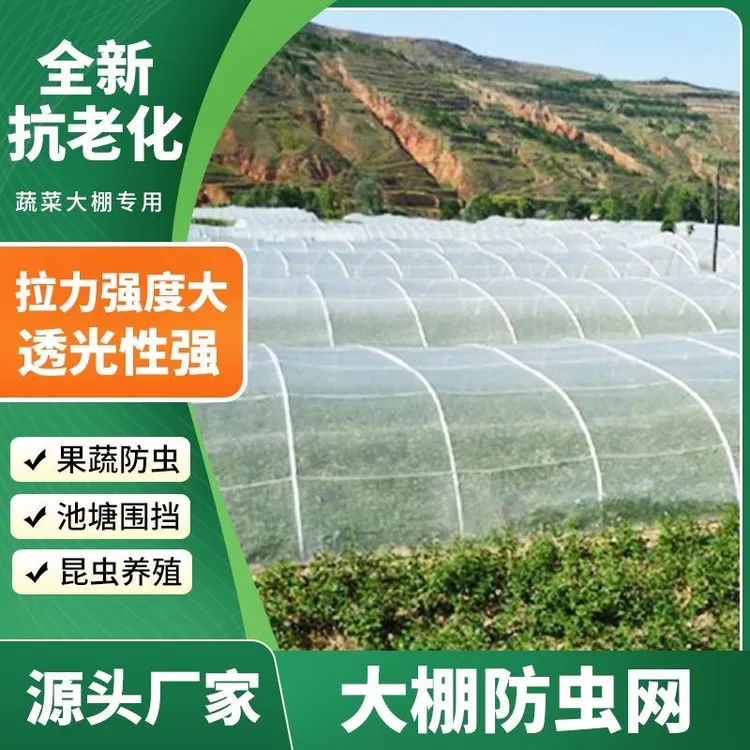 防虫网种菜专用网防虫罩加密纱网菜苗菜地果园网蔬菜防鸟罩种植