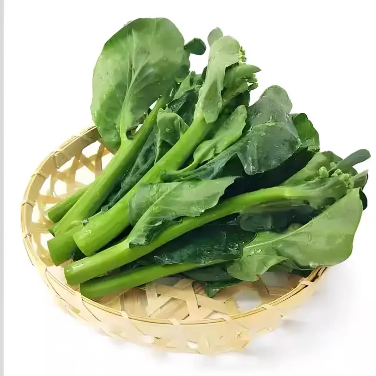 芥兰，芥兰菜，新鲜高原露天芥兰，现摘现发