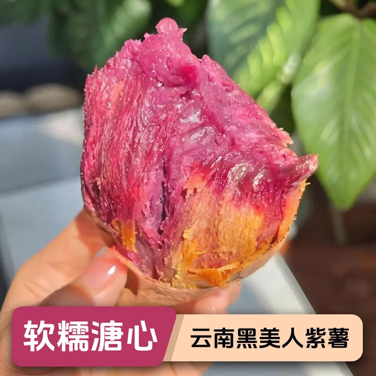 云南高山黑美人紫薯软糯香甜不干噎粗粮新鲜现挖地瓜番薯溏心流油