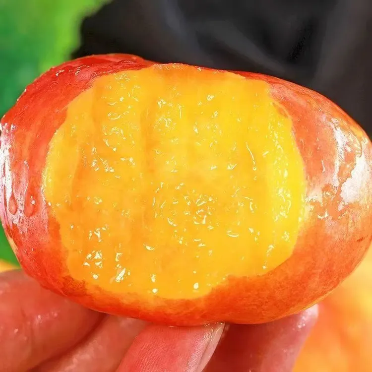 山东蒙阴紫霞油蟠桃彩虹油蟠桃芒果蟠桃香甜新鲜夏日尝鲜