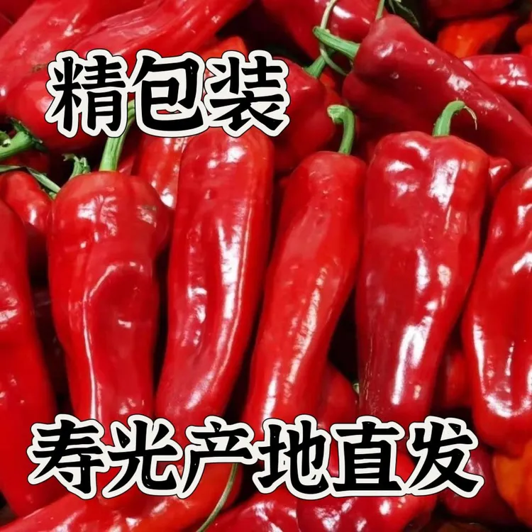 新鲜农家自种红辣椒大红尖椒微辣可做辣椒酱火锅食材