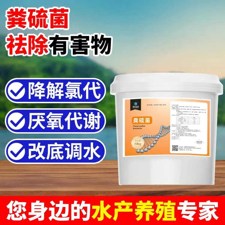 豪迈生物粪硫菌团水产养殖专用用药调水净水稳改除除黑臭增氧鱼塘