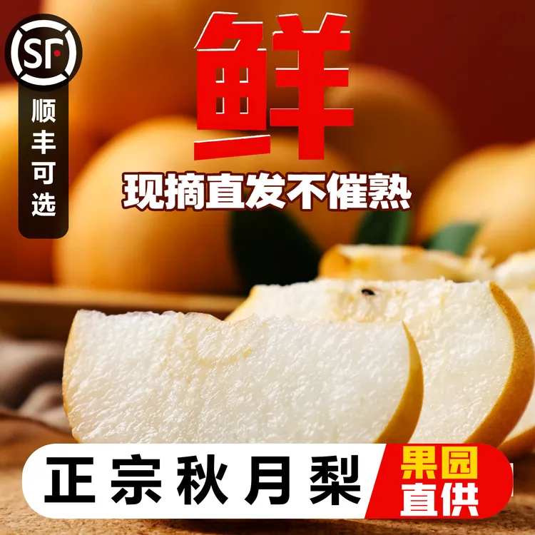 【现摘现发】正宗秋月梨当季新鲜水果脆甜多汁皮薄肉厚中秋送礼佳品