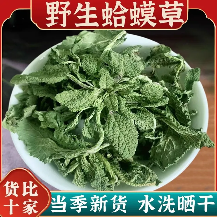 野生蛤蟆草新货整颗带根新鲜晒干荔枝草雪见草泡水癞蛤蟆草中药材