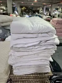 《厚广家》3楼160×210白色表面全棉至臻蚕丝被20%丝 发1张