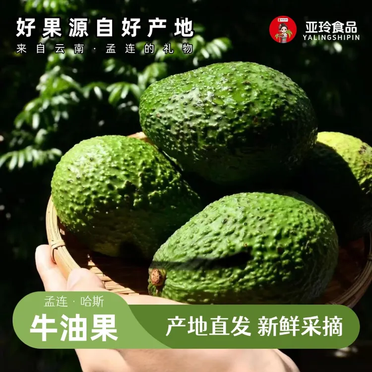 亚玲食品 | 特产 哈斯牛油果礼盒装云南特产孟连产地直发新鲜采摘