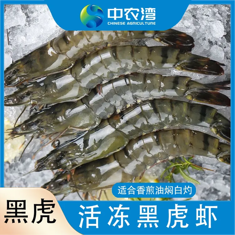 【中农湾】活冻黑虎虾3斤/盒*1盒