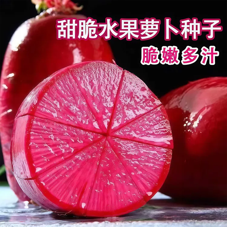 凤梨水果萝卜种籽红皮红心萝卜种子紫美人四季播阳台盆栽蔬菜种孑