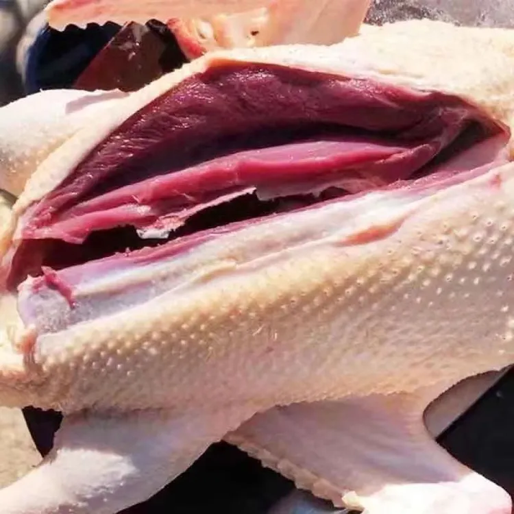 正宗农村散养大鹅新鲜美味肉质鲜嫩《心肝胗都带顺丰快递当场验货》