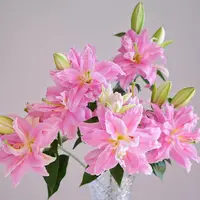 尤尼格重瓣百合有香味稀有水培鲜花
