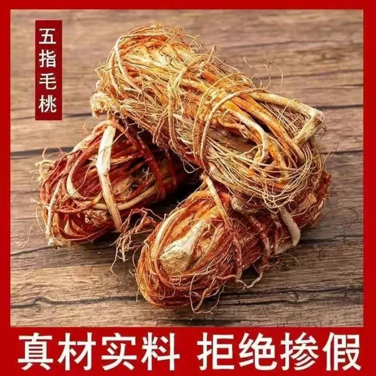 五指毛桃根广东粤北无硫农特产炖汤煲汤料净含量100克