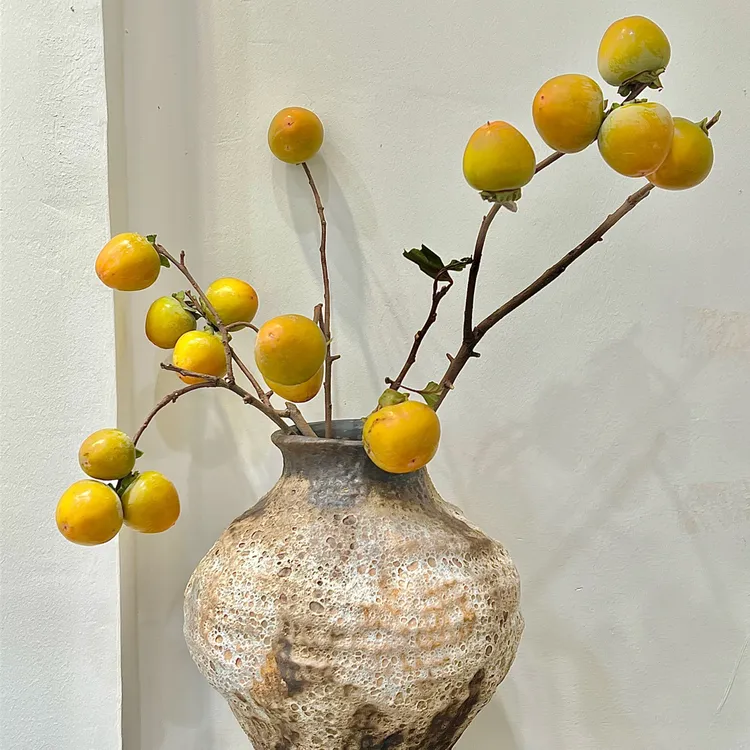 AAA级大柿子鲜切枝寓意柿柿如意可室内鲜花野生水培家用插花新鲜