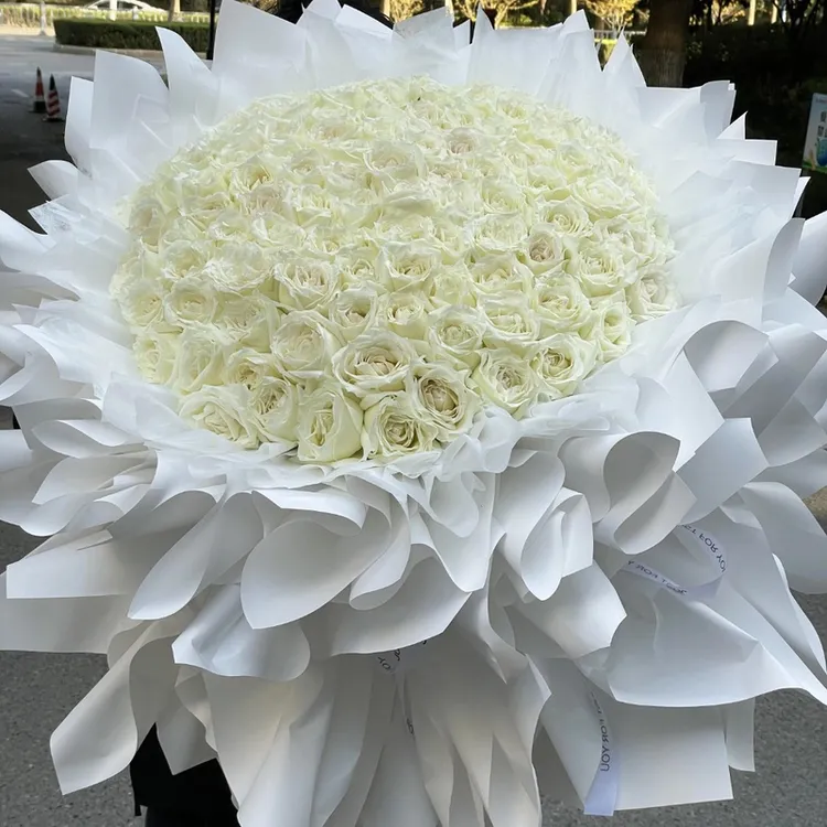 【浪漫加倍】99朵白玫瑰鲜花·求婚表白生日纪念日·同城花店送花上门