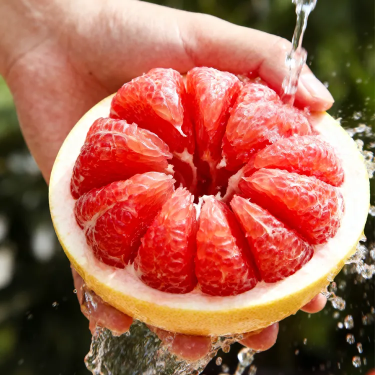 正宗福建平和红心蜜柚老树皮薄红心柚头茬鲜果鲜嫩多汁