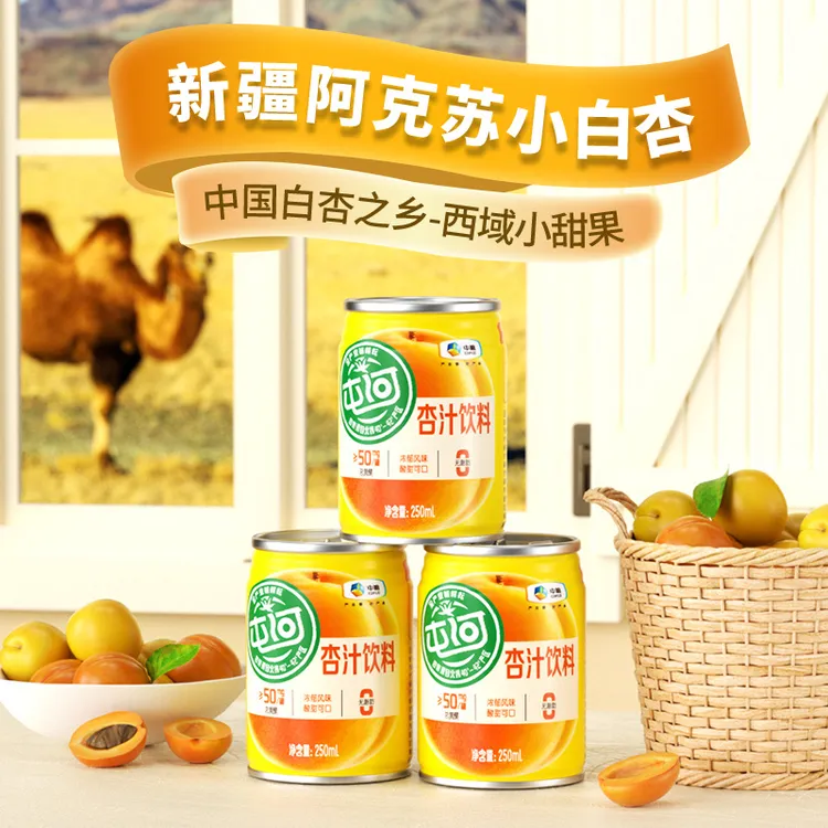 中粮屯河杏汁饮料阿克苏小白杏汁冰镇酸甜250ml新鲜果蔬饮料 DR