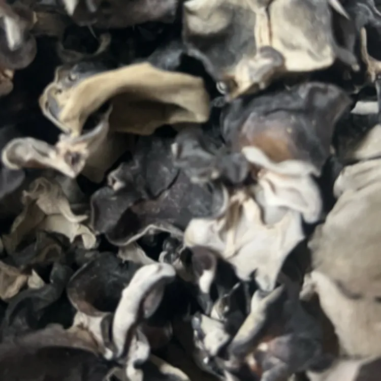 大个头白背毛木耳干货肉厚脆爽产地干净晾晒的食用菌