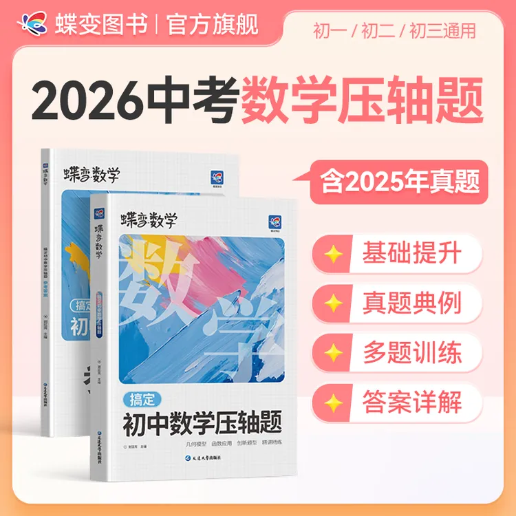 蝶变初中数学几何函数压轴题 中考数学大题考点必刷题复习资料书