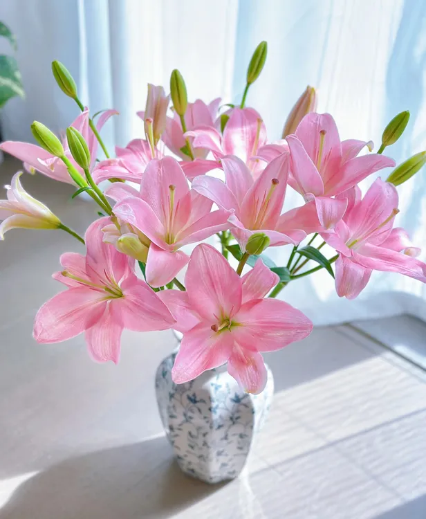 【小粉仙百合 】花中仙子—云南鲜花（顺丰包邮 云南直发）