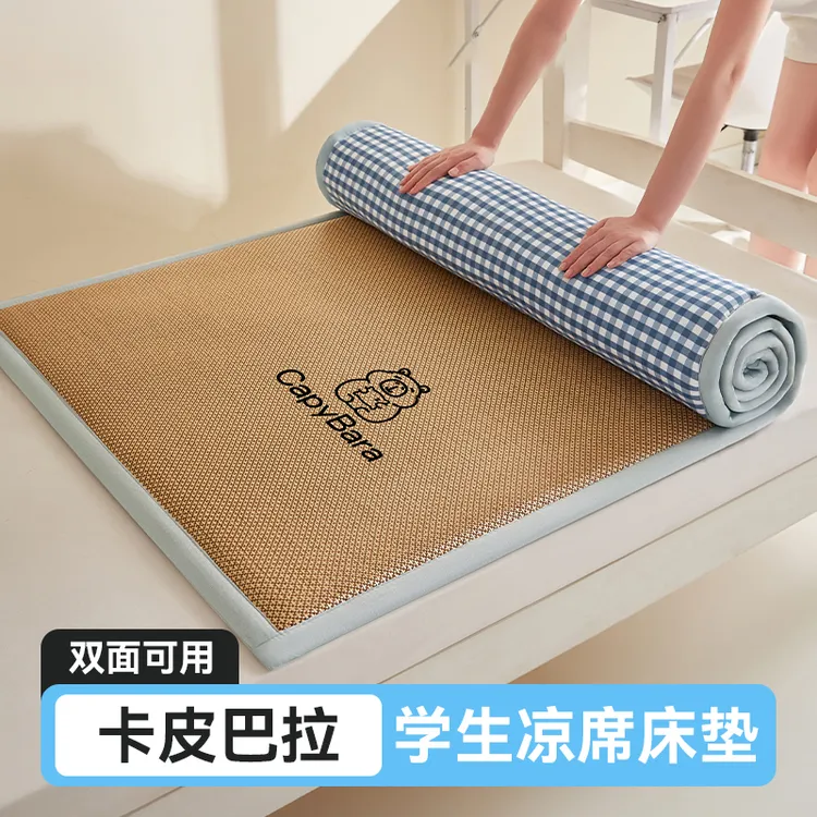 卡皮巴拉学生双面床褥垫住校专用单人加厚凉席垫租房海绵垫子新款