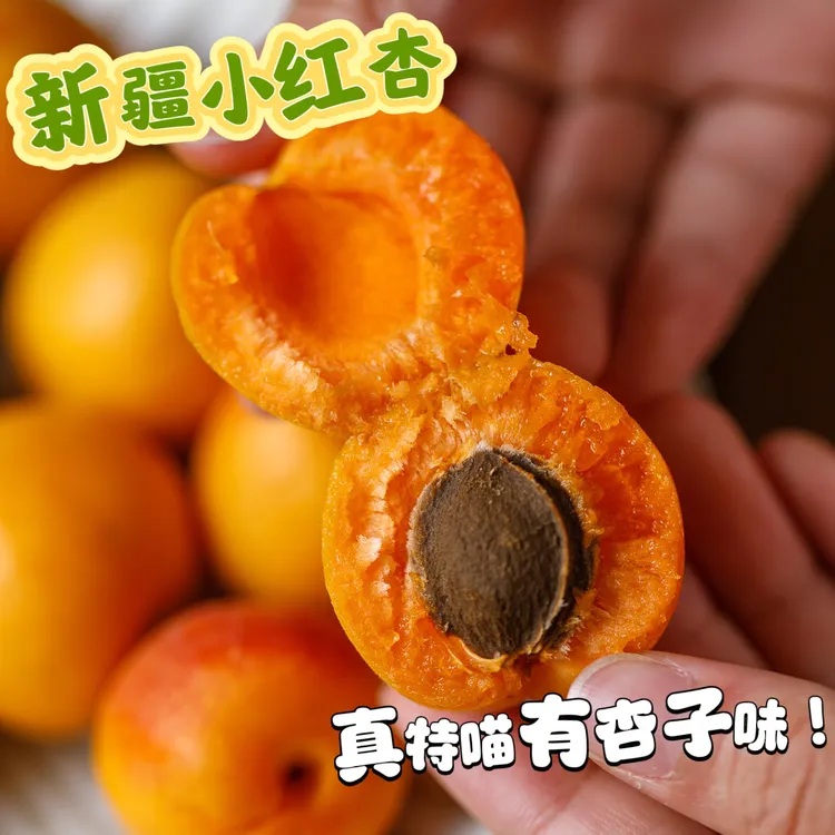 新疆小红杏 一口吃到【真特喵有杏子味】风味超赞 2.9斤起 顺丰空运