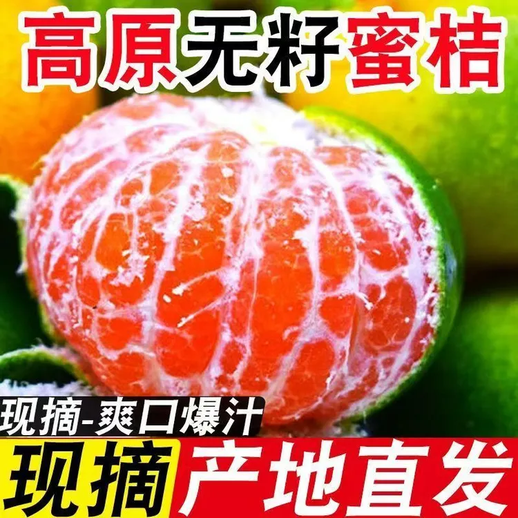 精选正宗薄皮蜜橘应季新鲜水果橘子桔子柑橘孕妇青皮蜜桔产地直发