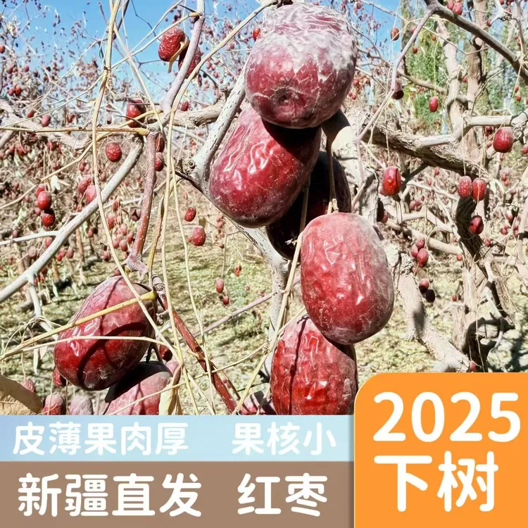 【顺丰包邮】新疆正宗灰枣红枣之乡发货核小肉厚自然吊干
