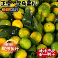 赣南寻乌蜜桔新鲜青皮蜜橘现摘应季水果薄皮多汁酸甜爽口无籽
