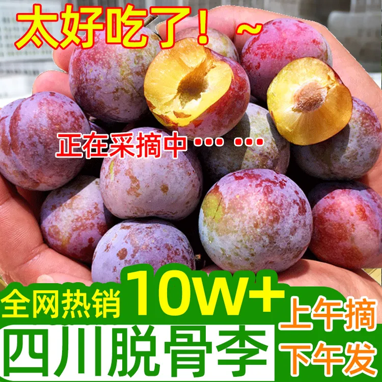 四川脆红李子高山李脱骨李青红当季新鲜水果1/3/5斤